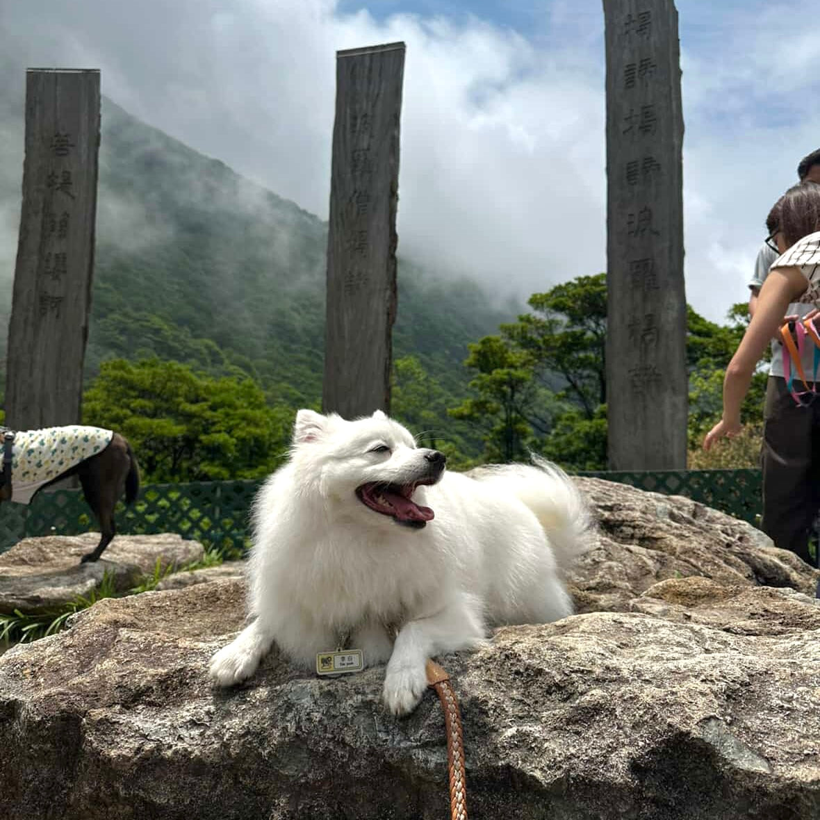 其他產品 - 寵物名牌 (學生名貼紙)