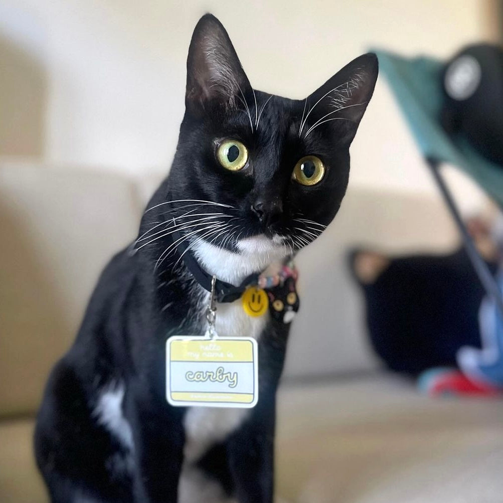 其他產品 - 寵物名牌 (自我介紹名貼紙)